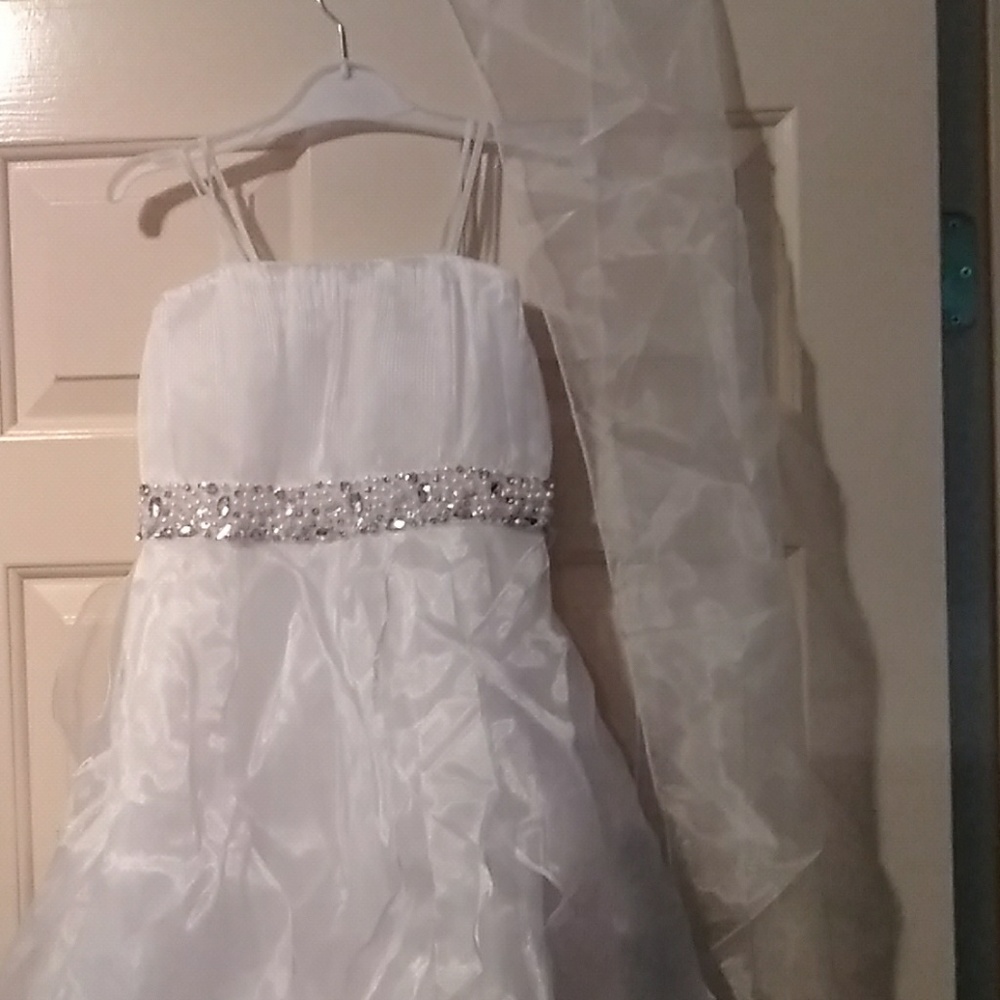 Formal Dress - Picture 3 of 5